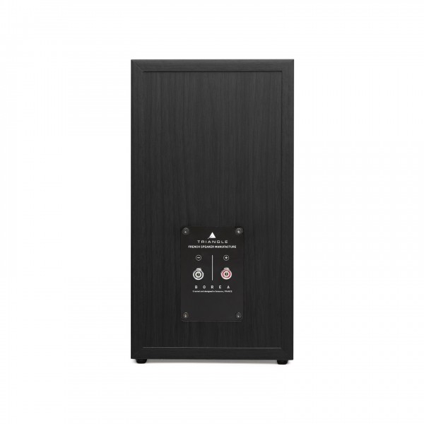 Triangle Borea BR03 Bookshelf Speakers (Pair), Black Ash rear view and binding posts