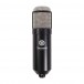 Townsend Sphere L22 Condenser Microphone