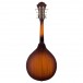 Fender Paramount PM-180E Mandolin, Aged Cognac Burst Back