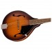 Fender Paramount PM-180E Mandolin, Aged Cognac Burst Body