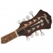 Fender Paramount PM-180E Mandolin, Aged Cognac Burst Headstock Front