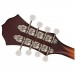 Fender Paramount PM-180E Mandolin, Aged Cognac Burst Headstock Back