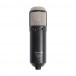 L22 condenser Mic Back
