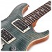 PRS 35th Anniversary Custom 24, Trampas Green #0304155