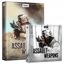 Boom Assault Weapons Bundle