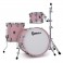 Premier Genista Maple 20