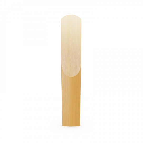 D'Addario Organic Reserve Evolution Bb Clarinet Reeds - 4