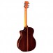 Faith Earth 20th Anniversary Cutaway Electro Acoustic, Natural back