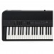 Roland FP-90X Digital Piano, Black