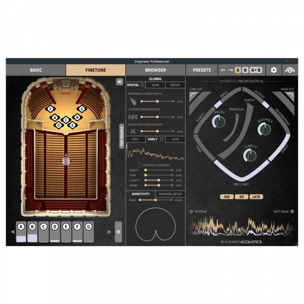 Inspired Acoustics Inspirata Professional