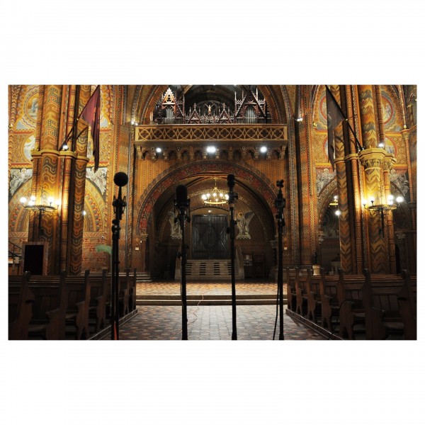 Inspired Acoustics Inspirata Professional