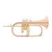 Yamaha YFH8310ZG Custom Model Bugel, transparant Lacquer