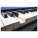 Roland FP-90X Digital Piano, Black, Keys
