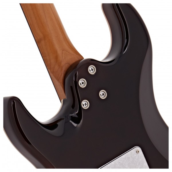 Jet Guitars JS-450 Rosewood, Transparent Brown Spalted