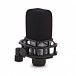 SubZero VX01 Vocal Microphone with Accessory Pack, with Stand