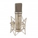 SubZero P10 Pro Condenser Microphone