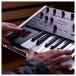 Sequential Trigon-6 Six-Voice Analog Polyphonic Synthesizer - Lifestyle 2