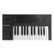 Native Instruments Komplete Kontrol A25