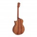 Taylor 724ce Electro Acoustic
