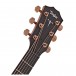 Taylor 724ce Electro Acoustic