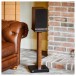 Acoustic Energy AE100 MK2 Bookshelf Speakers, Walnut - Lifestyle