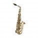 Stagg AS215S Alto Saxophone Pack - 1