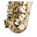 Stagg AS215S Alto Saxophone Pack - 5