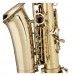 Stagg AS215S Alto Saxophone Pack - 6
