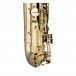 Stagg AS215S Alto Saxophone Pack - 7