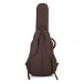 Taylor AD27e Flametop Electro Acoustic