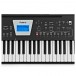 Roland BK-3 Compact Backing Keyboard, Black - Nearly New