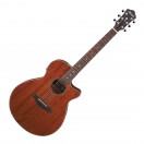 Ibanez AEG220, Natural Low Gloss