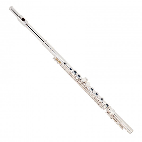 Stagg FL111 Flute