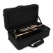 Levante by Stagg TR6305 Bb Trumpet, Lacquer