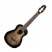 Flight Peter Moss Signature Concert Electro Ukulele