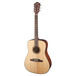 Fender F-1000 Dreadnought Acoustic Guitar, Natural