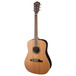 Fender F-1030S Dreadnought Acoustic Guitar, Natural