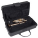 Odyssey OTR1250 Premiere D/Eb Trumpet