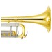Yamaha YTR8335 Xeno Trumpet, Lacquer, Bell