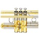 Yamaha YTR8335 Xeno Trumpet, Lacquer, Valve Block