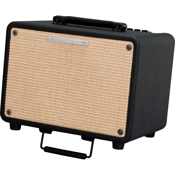 Ibanez T30 Troubadour 30W Acoustic Guitar Combo Amp