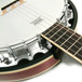 Ozark 2104G Banjo, with Padded Cover