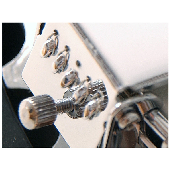 Ozark Tenor Banjo Short Scale, with Gig Bag