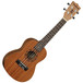 Tanglewood TU13M Tribal Spirit Concert Ukulele