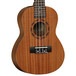 Tanglewood TU13M Tribal Spirit Concert Ukulele