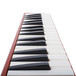 Hohner C94324 Student 32 Melodica, Red
