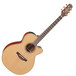 Takamine Pro Series P3NC NEX Cutaway Electro Acoustic Guitar