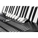 Hohner Bravo III 96 Accordion, Black with Gig Bag