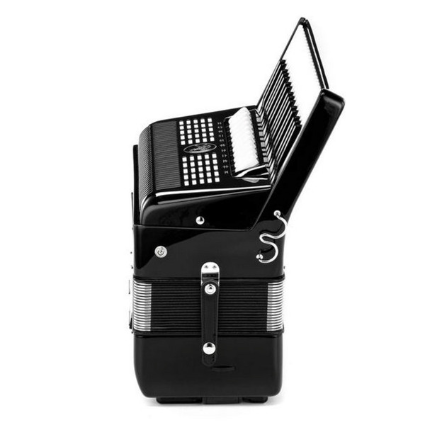 Hohner Amica IV 96 Accordion, with Straps and Case