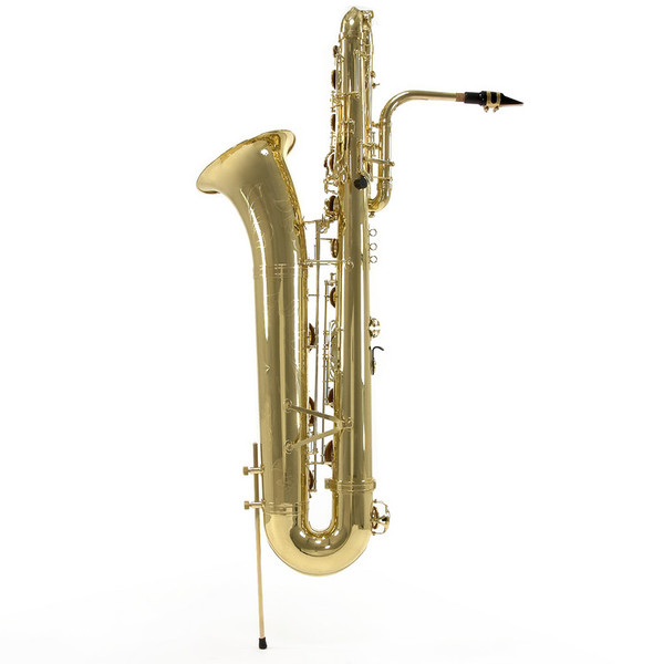 DELBSAX